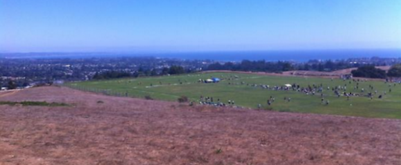 LD Fields LD Fields
