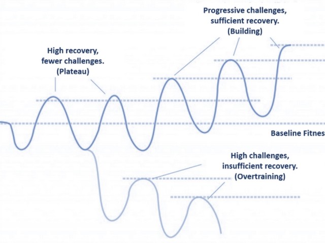 Progressive training stimulus with and without sufficient recovery