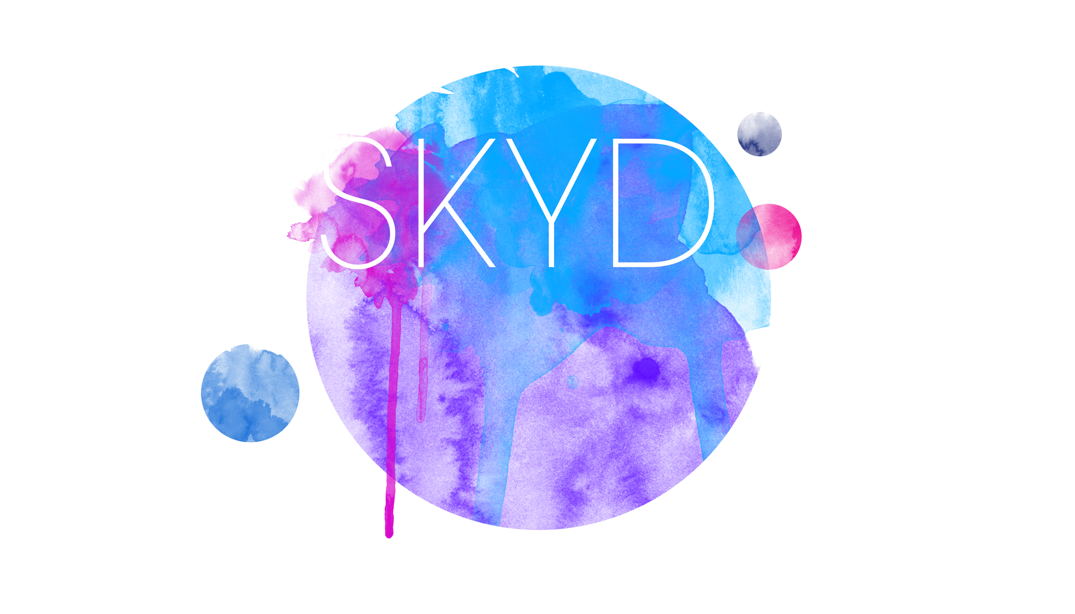 Skyd's 2014 Fundraiser logo