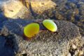 Rheos floating sunglasses resting on a rock by the water, showcasing their waterproof and durable de.